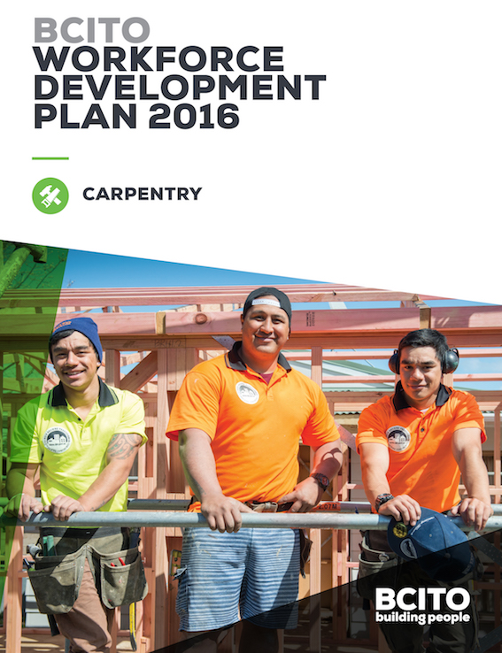 Carpentry Workforce Development Plan launched Building Today