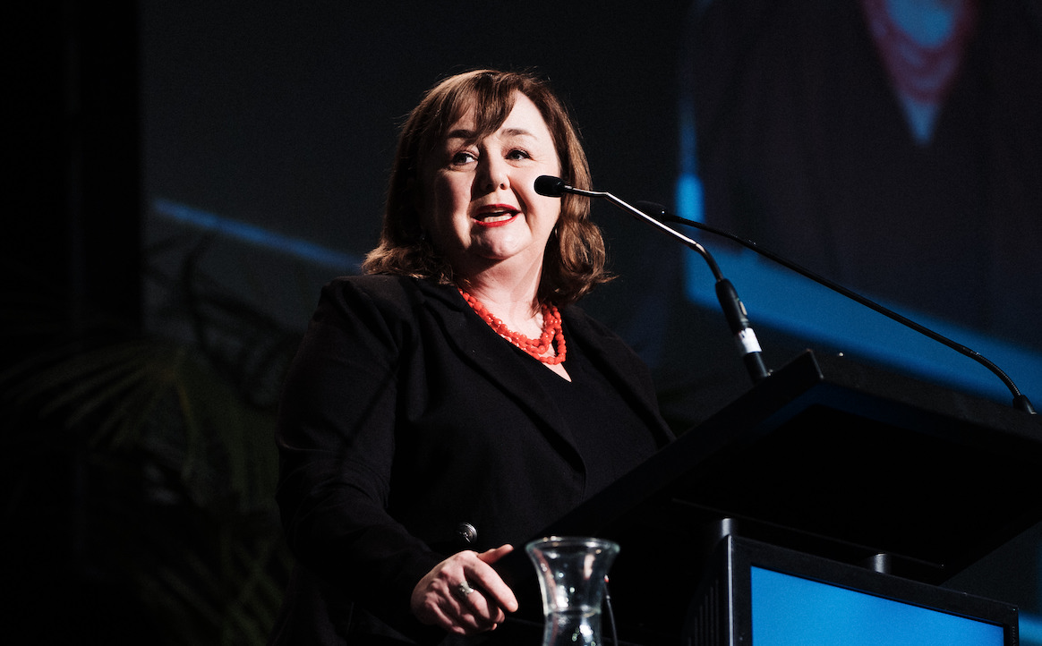 Woods: Overarching vision is for every NZer to live in a home within a ...