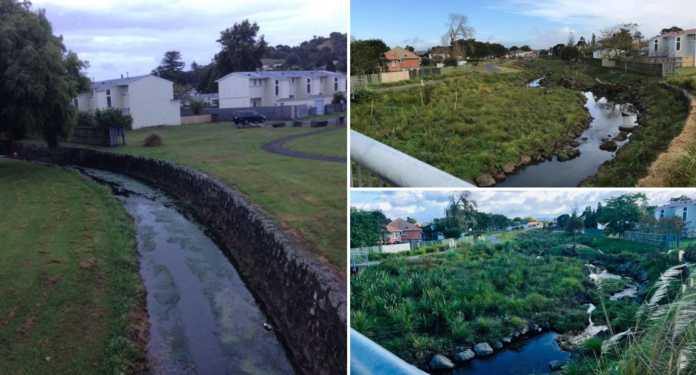 The Te Auaunga Project in Wesley, Auckland. These pics show the same spot in Feb 2016 (before), July 2018, and April 2019.